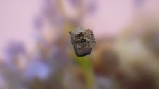 画像6: チェリャビンスク メテオライト（隕石） (6)