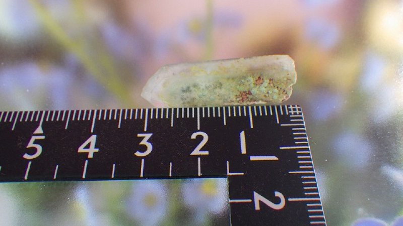 画像3: アホイト（アホー石）アジョイトinクォーツ