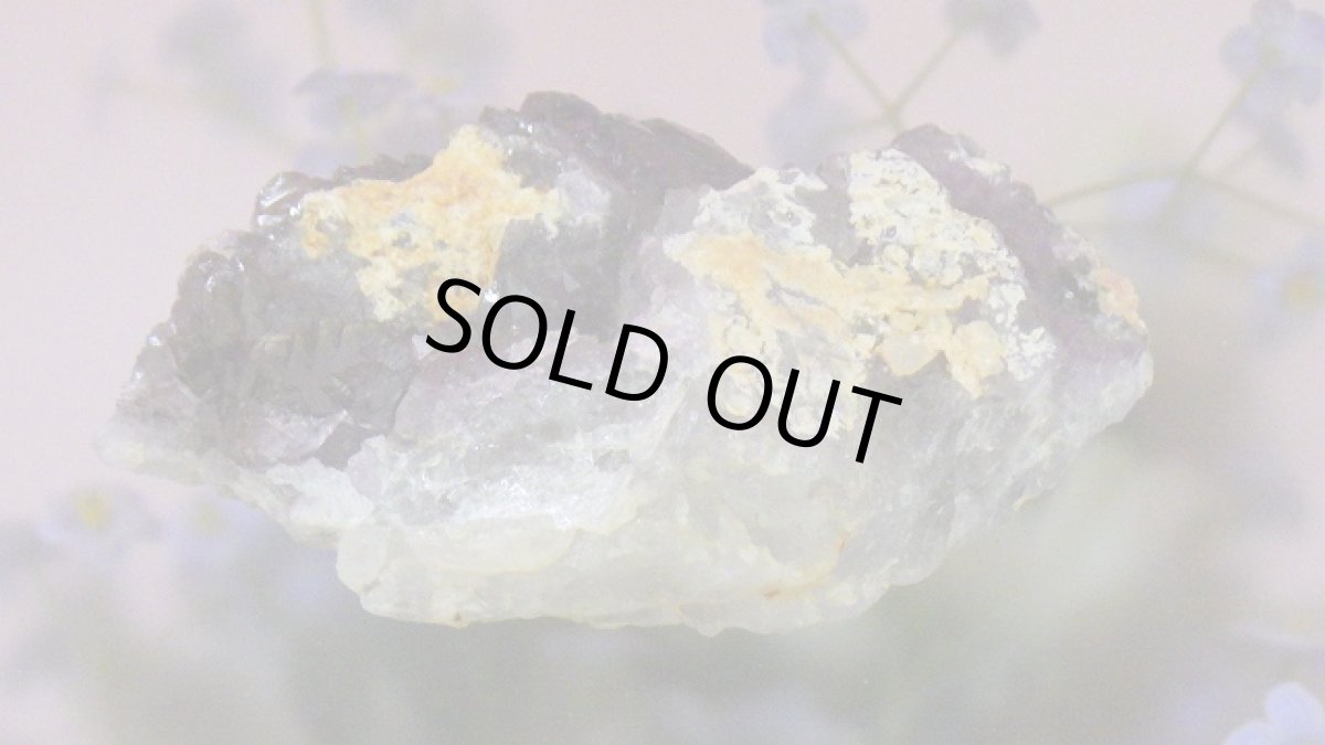 画像10: アメジストエレスチャル（骸骨水晶） (10)