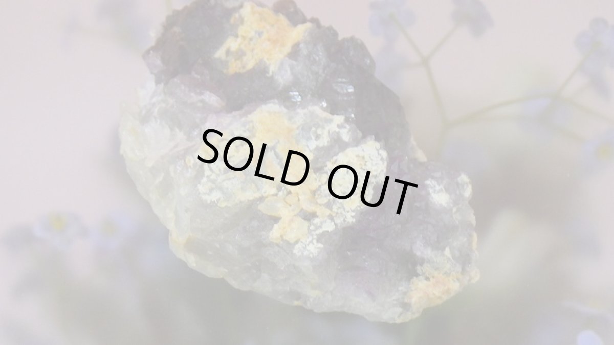 画像11: アメジストエレスチャル（骸骨水晶） (11)