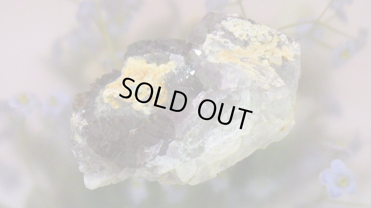 画像12: アメジストエレスチャル（骸骨水晶） (12)