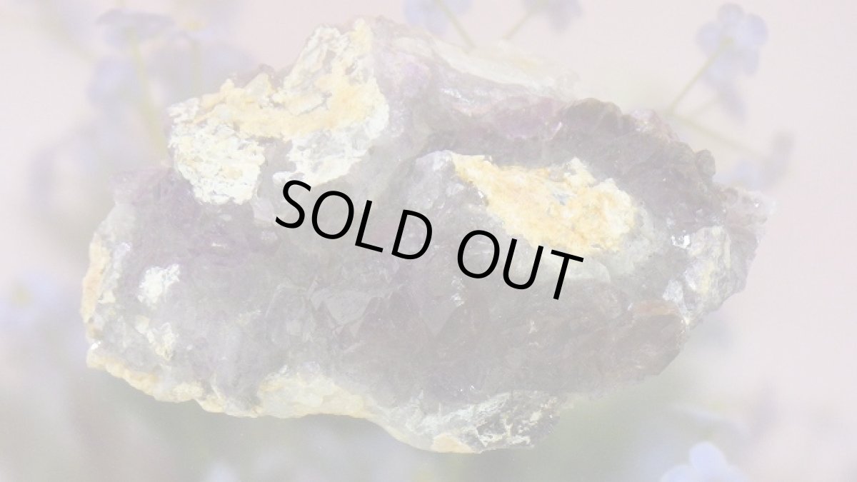 画像8: アメジストエレスチャル（骸骨水晶） (8)