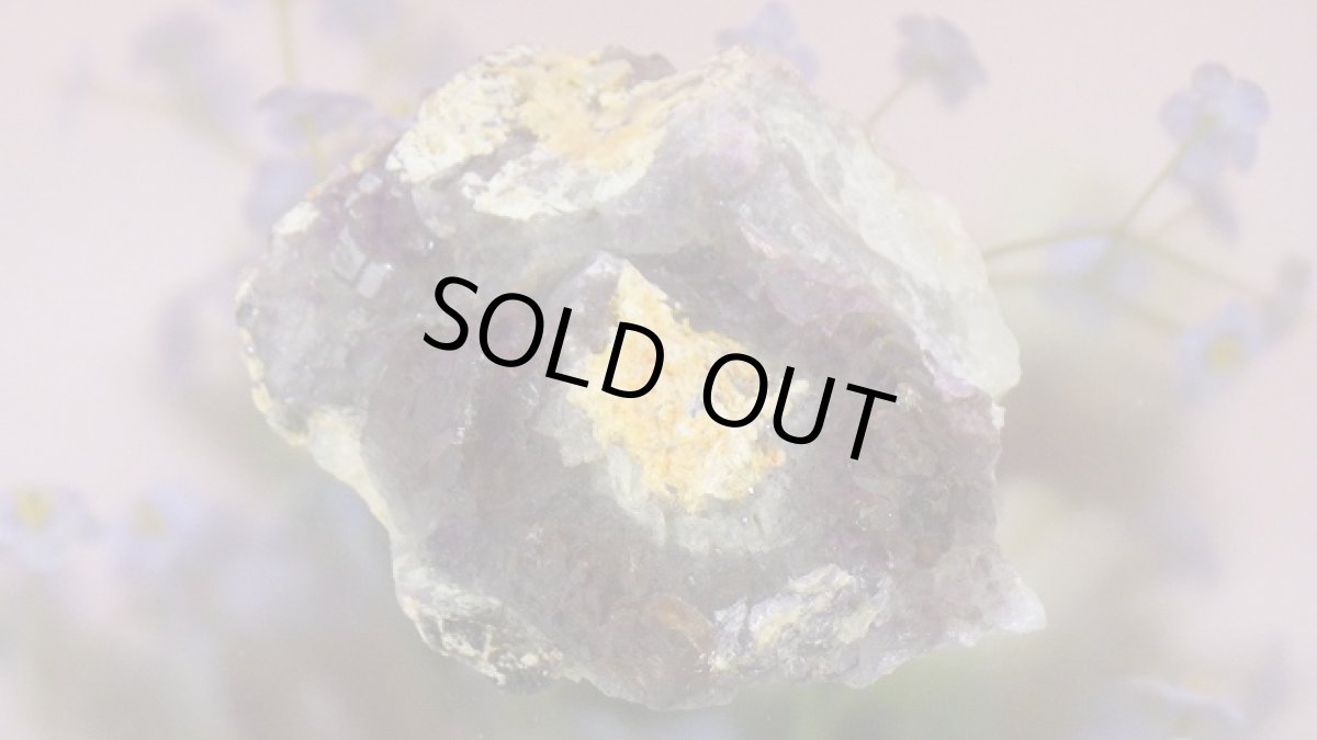 画像9: アメジストエレスチャル（骸骨水晶） (9)