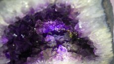 画像11: アメジストドーム（紫晶洞） 約9.8kg (11)