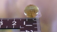 画像5: アパタイト（燐灰石）キャッツアイ (5)