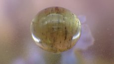 画像3: アパタイト（燐灰石）キャッツアイ (3)