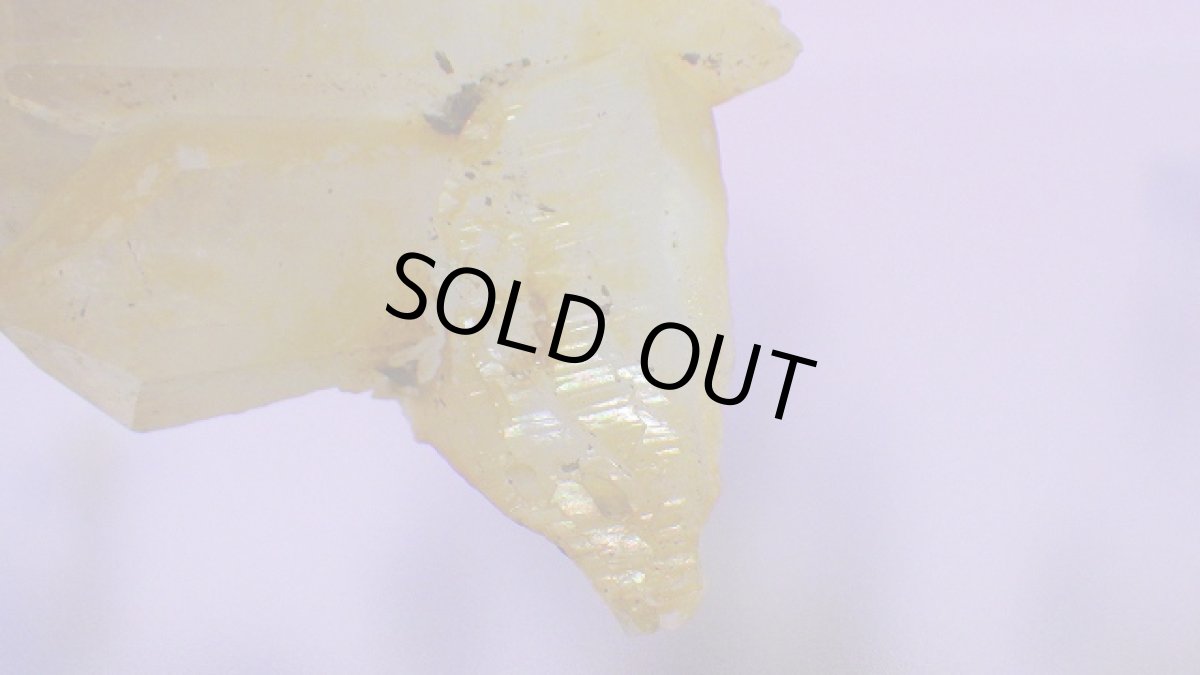 画像3: ゴールデンヒーラー(水晶)クリスタルクラスター ソラリス (3)