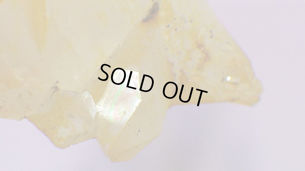 画像5: ゴールデンヒーラー(水晶)クリスタルクラスター ソラリス (5)