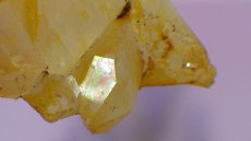 画像5: ゴールデンヒーラー(水晶)クリスタルクラスター ソラリス (5)
