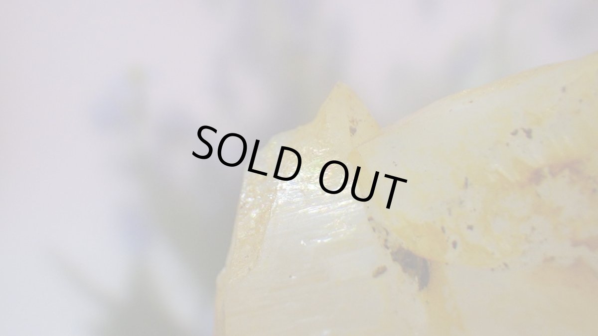 画像6: ゴールデンヒーラー(水晶)クリスタルクラスター ソラリス (6)