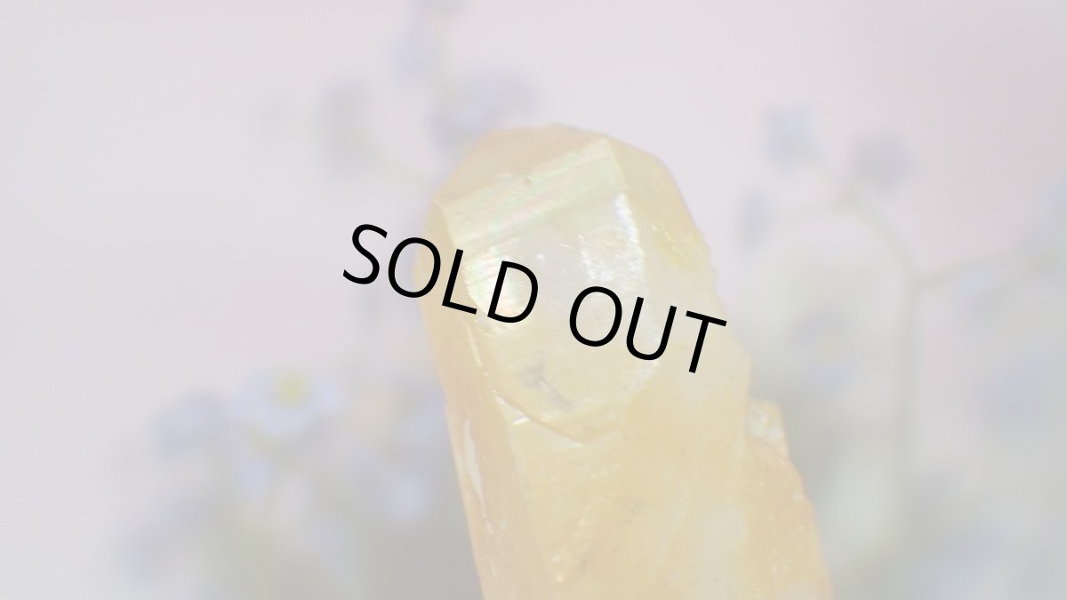 画像7: ゴールデンヒーラー(水晶)クリスタルクラスター ソラリス (7)