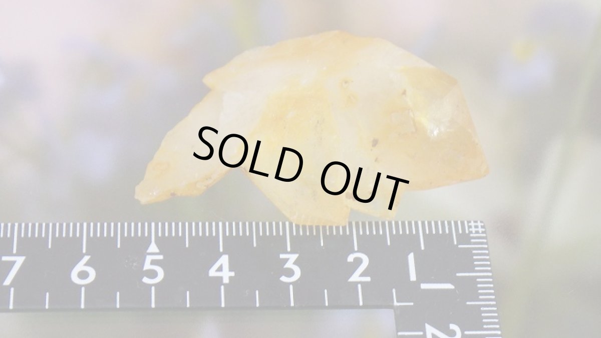 画像9: ゴールデンヒーラー(水晶)クリスタルクラスター ソラリス (9)