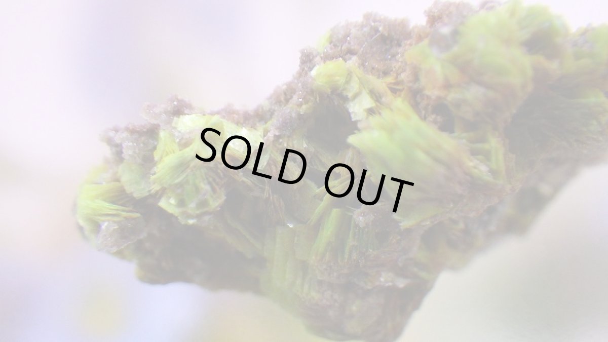 画像2: オトゥーナイト（燐灰ウラン鉱） (2)