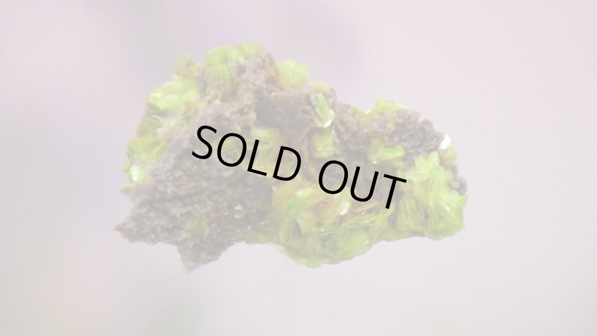 画像3: オトゥーナイト（燐灰ウラン鉱） (3)