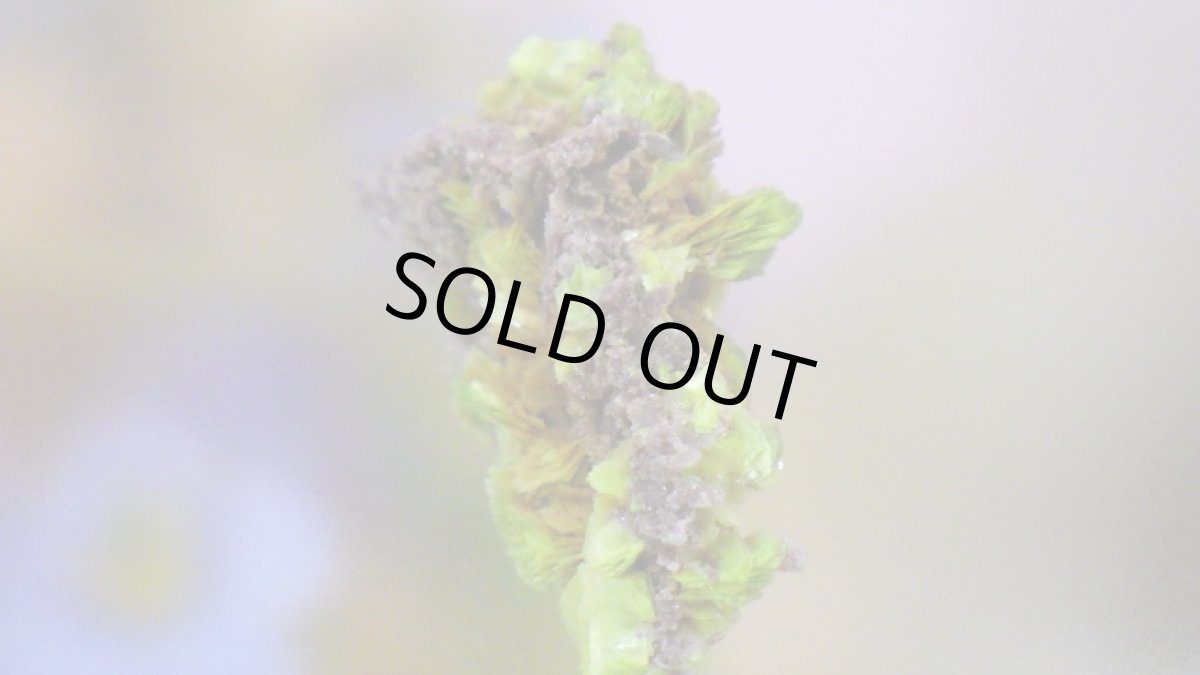 画像4: オトゥーナイト（燐灰ウラン鉱） (4)