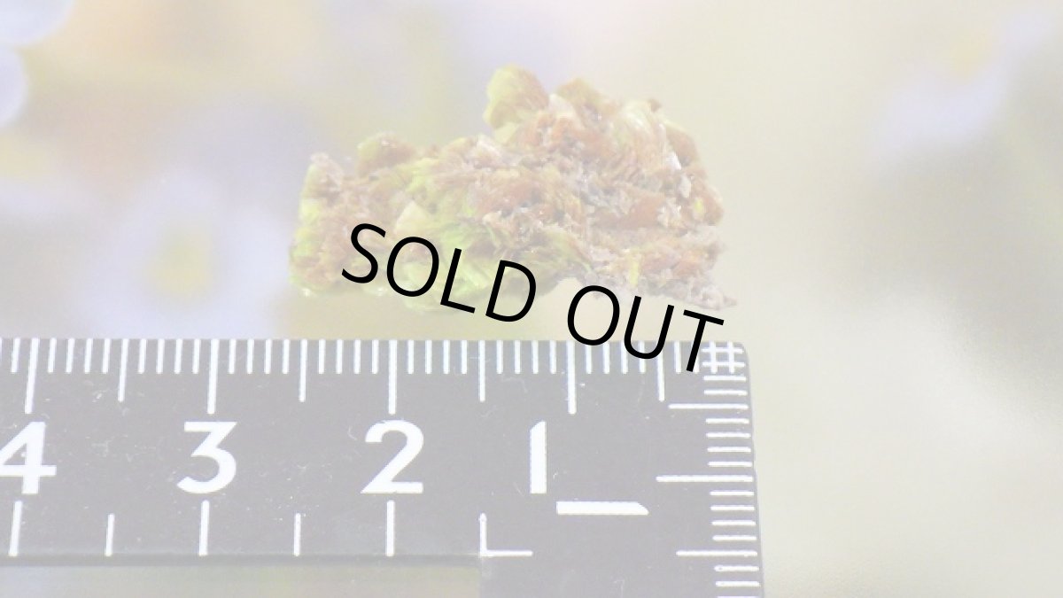 画像7: オトゥーナイト（燐灰ウラン鉱） (7)