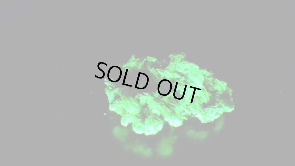 紫外線（短波）ライトを当てた状態