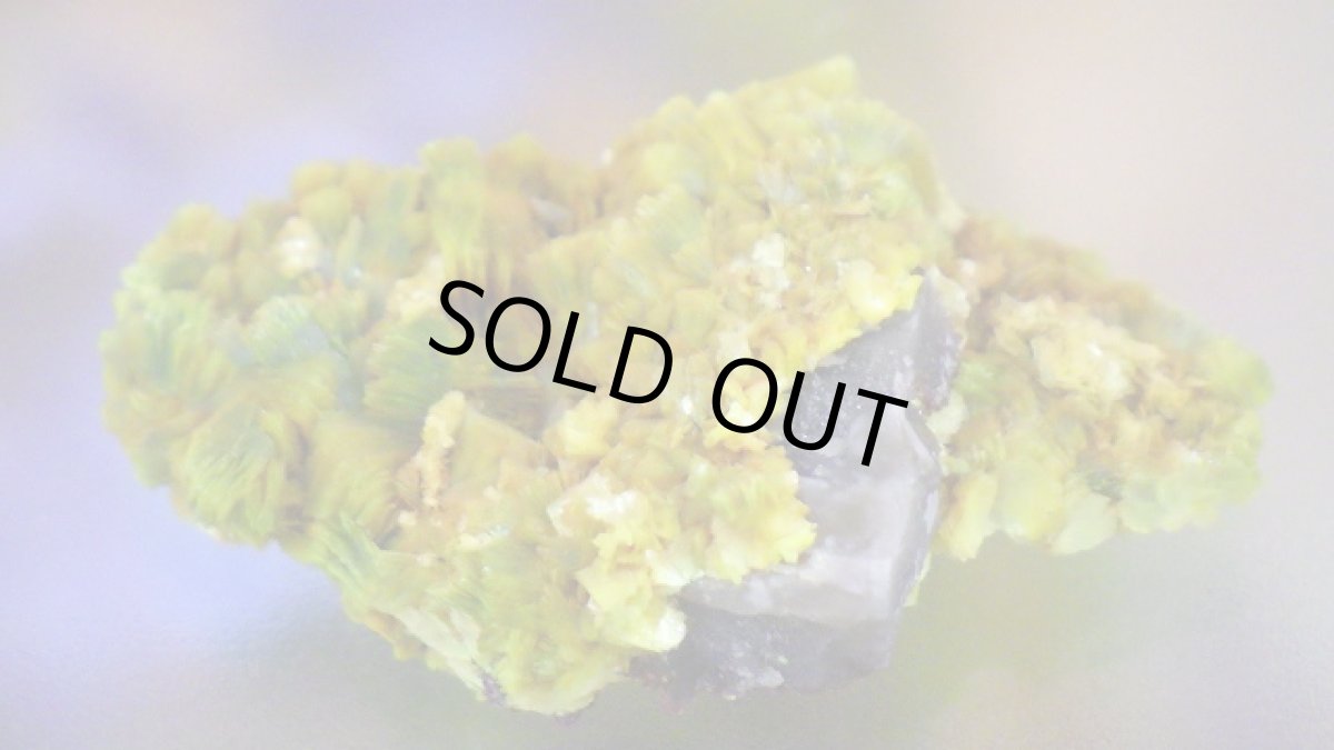 画像3: オトゥーナイト（燐灰ウラン鉱） (3)