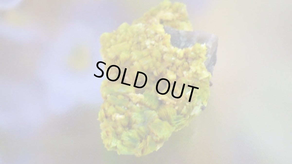 画像4: オトゥーナイト（燐灰ウラン鉱） (4)