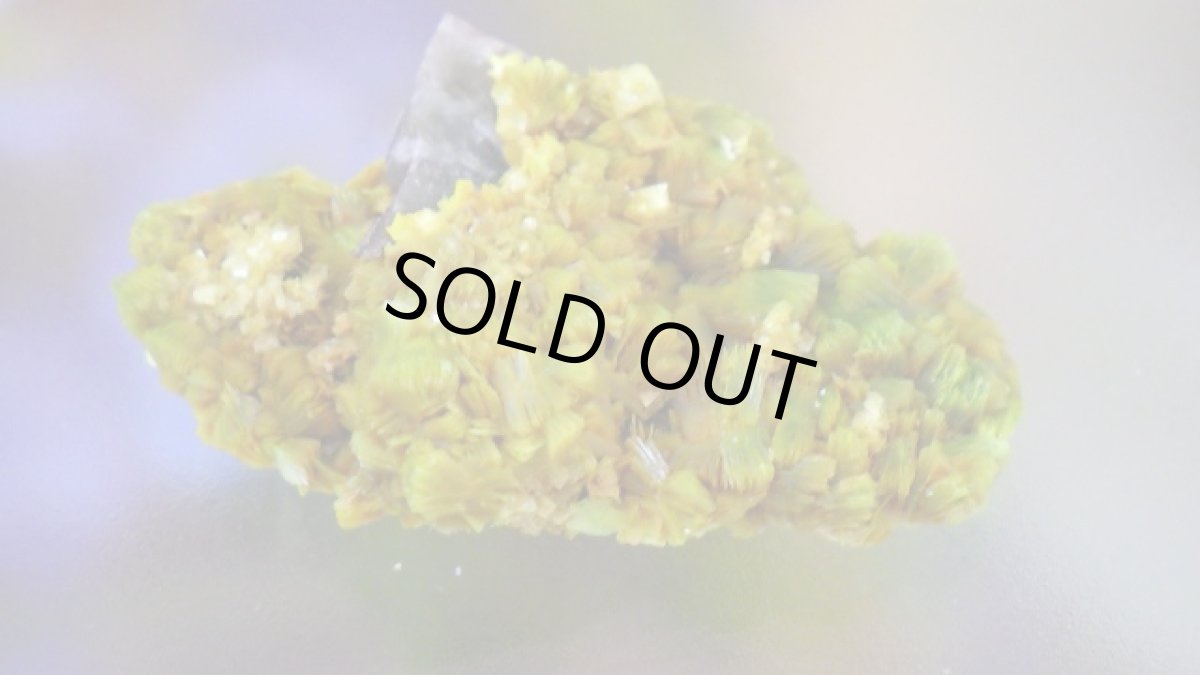 画像5: オトゥーナイト（燐灰ウラン鉱） (5)