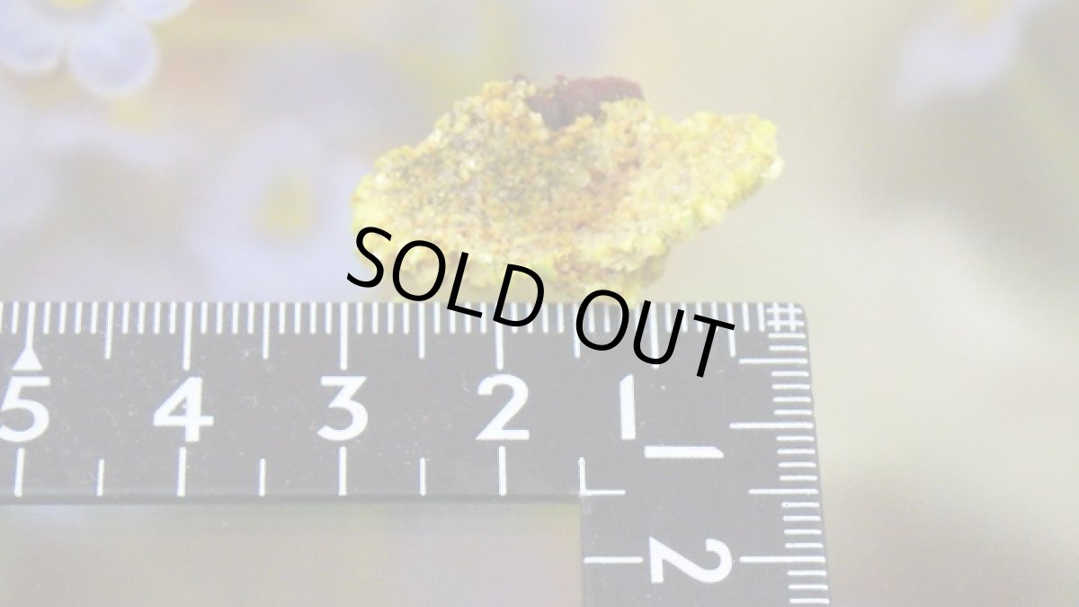 画像7: オトゥーナイト（燐灰ウラン鉱） (7)