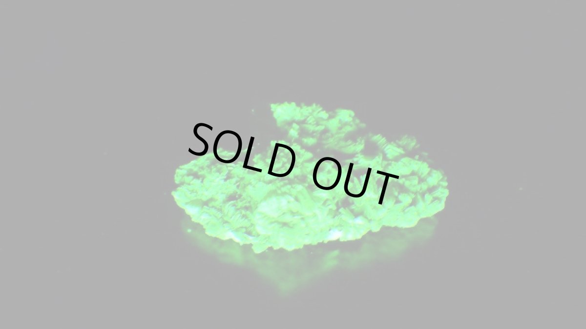 紫外線（短波）ライトを当てた状態