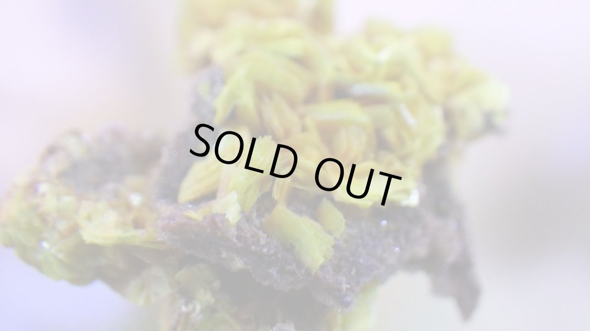 画像2: オトゥーナイト（燐灰ウラン鉱） (2)