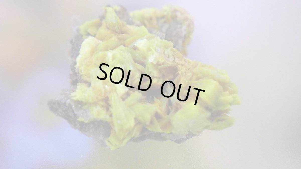 画像3: オトゥーナイト（燐灰ウラン鉱） (3)