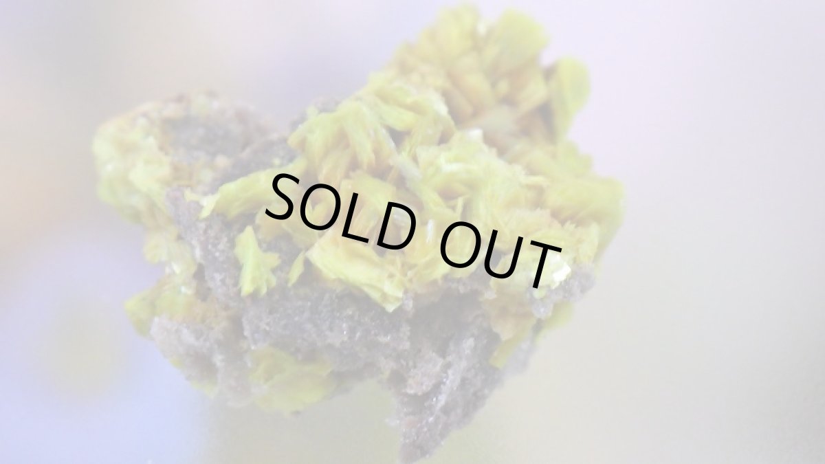 画像4: オトゥーナイト（燐灰ウラン鉱） (4)