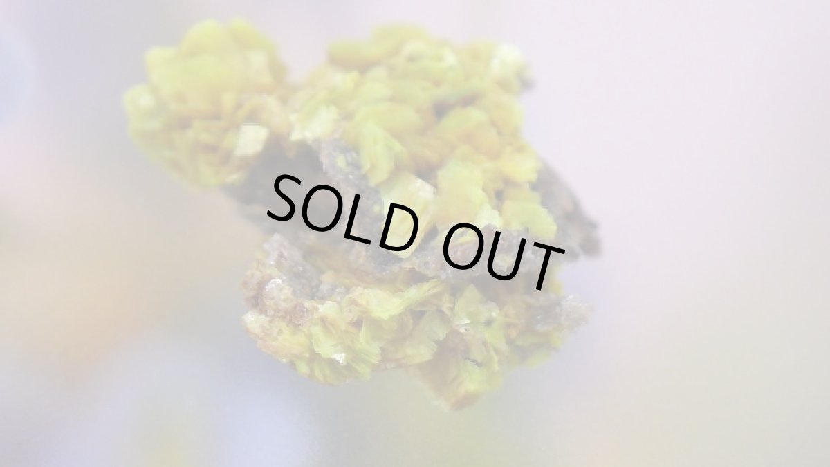 画像5: オトゥーナイト（燐灰ウラン鉱） (5)