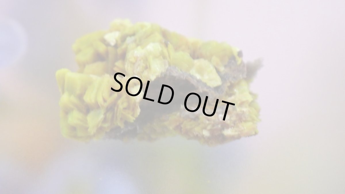 画像6: オトゥーナイト（燐灰ウラン鉱） (6)