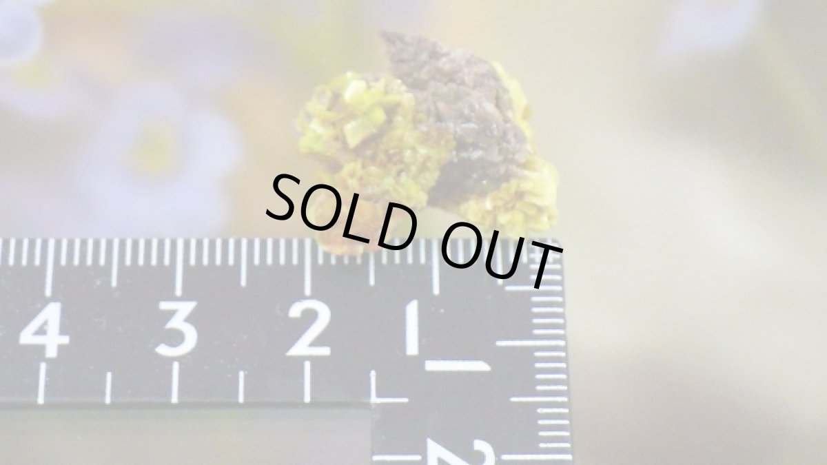 画像7: オトゥーナイト（燐灰ウラン鉱） (7)