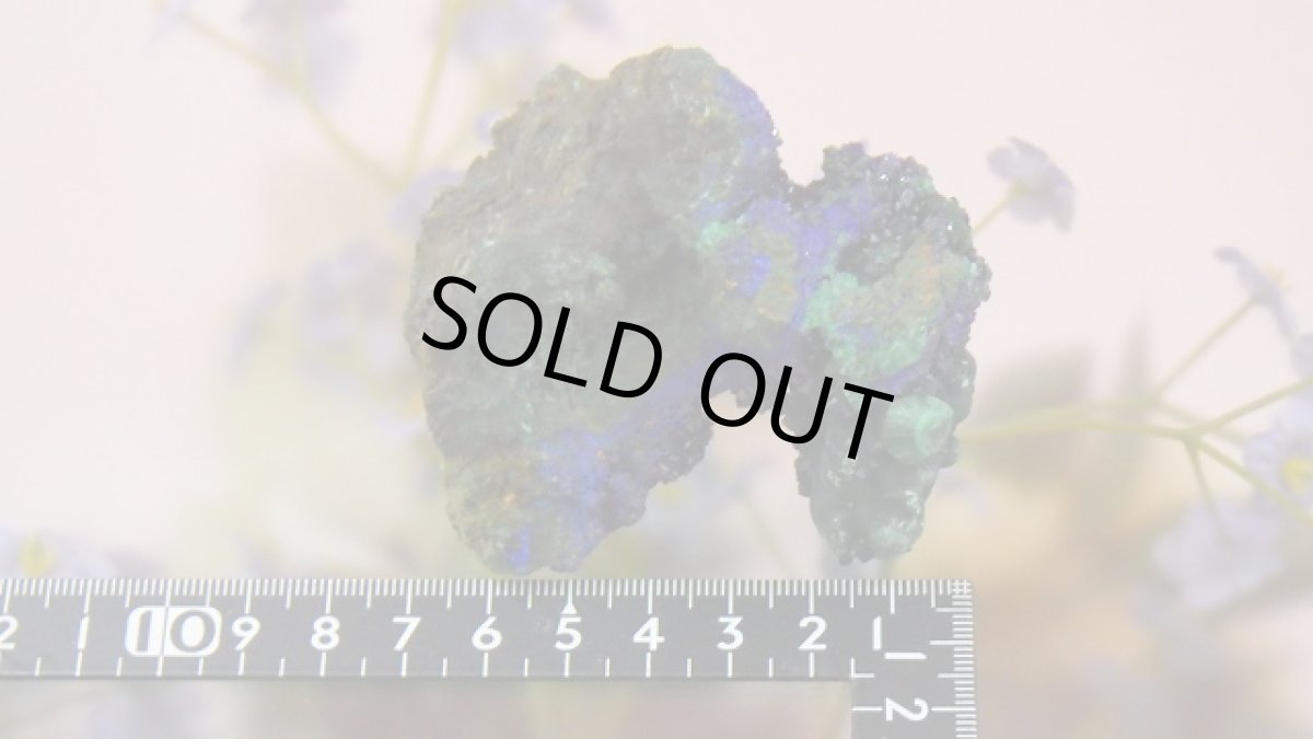 画像5: アズライト（藍銅鉱）AAA 結晶 アズロマラカイト (5)