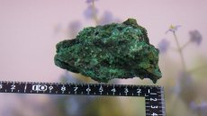 画像8: アズライト（藍銅鉱）AAA 結晶 アズロマラカイト (8)