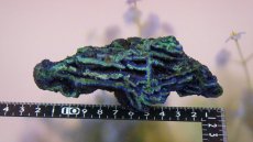 画像9: アズライト（藍銅鉱）AAA 結晶 アズロマラカイト (9)