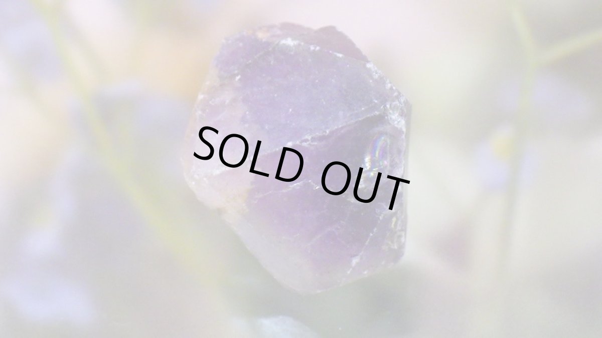 画像2: レア産地 アメジスト（紫水晶） (2)