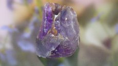画像6: レア産地 アメジスト（紫水晶） (6)