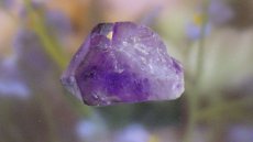 画像6: レア産地 アメジスト（紫水晶） (6)