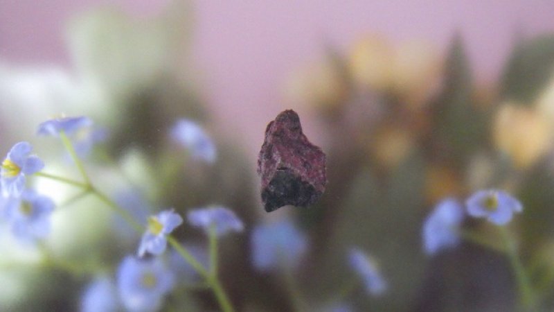 画像1: シンナバー（辰砂）竜の血