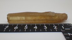 画像5: シトリンポイント (5)