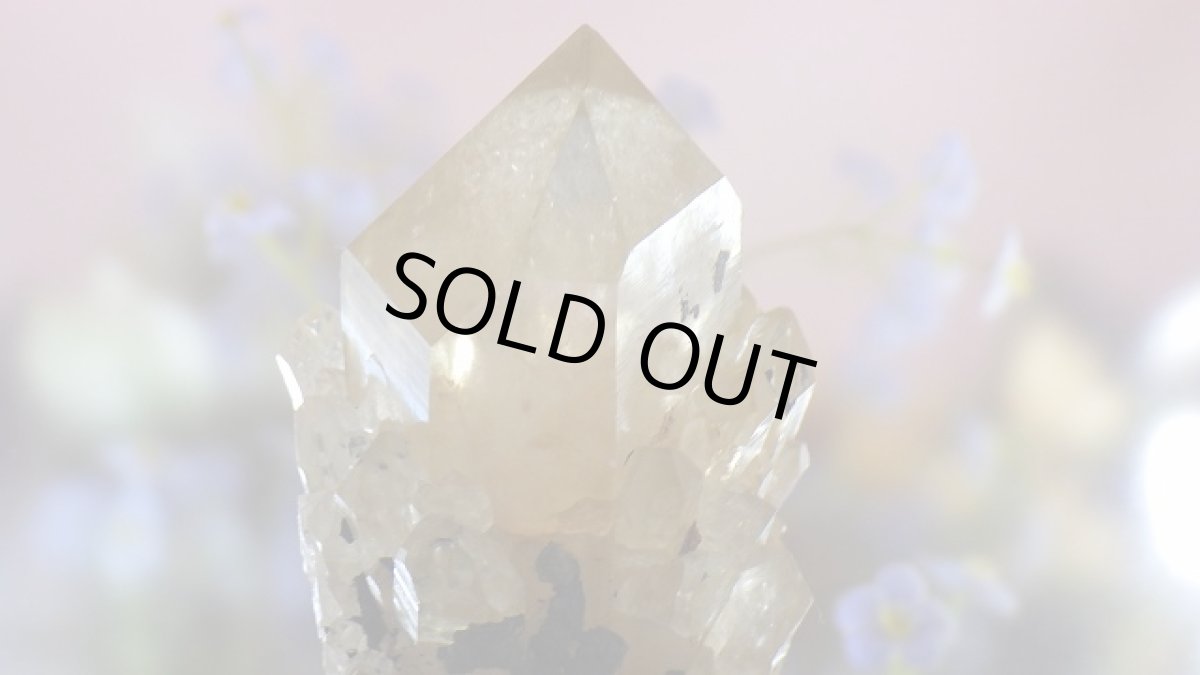 画像3: シトリンクラスター（黄水晶群晶） 359g (3)