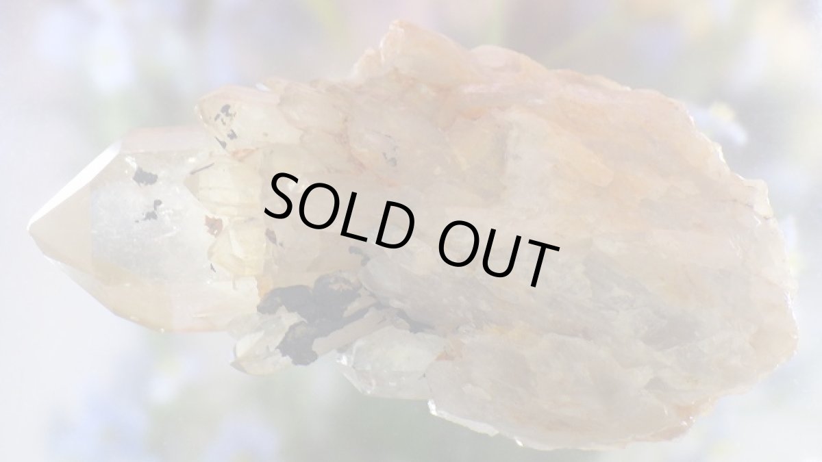 画像5: シトリンクラスター（黄水晶群晶） 359g (5)