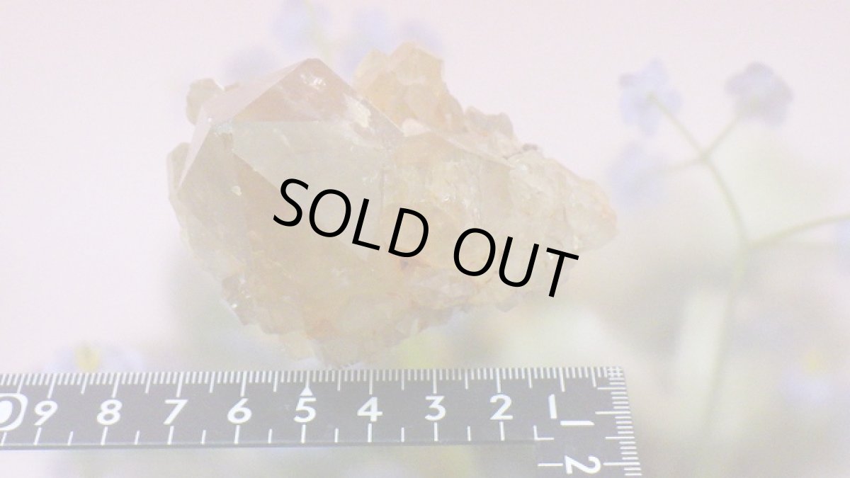 画像10: シトリンクラスター（黄水晶群晶） 215g (10)