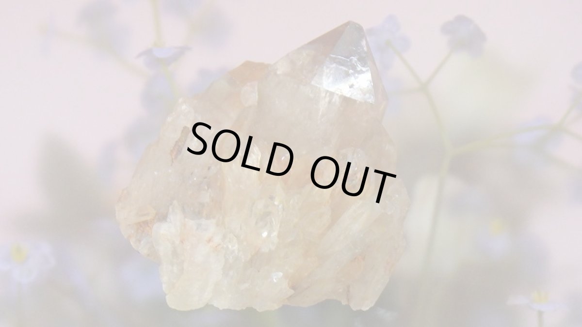 画像2: シトリンクラスター（黄水晶群晶） 215g (2)