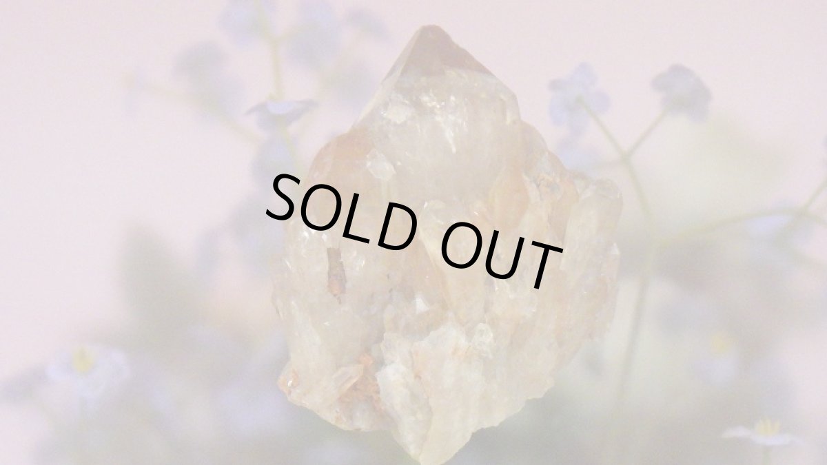 画像3: シトリンクラスター（黄水晶群晶） 215g (3)