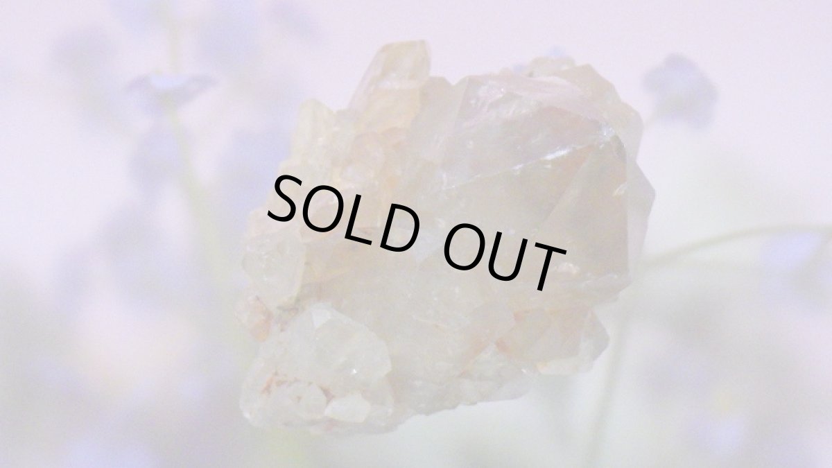 画像6: シトリンクラスター（黄水晶群晶） 215g (6)