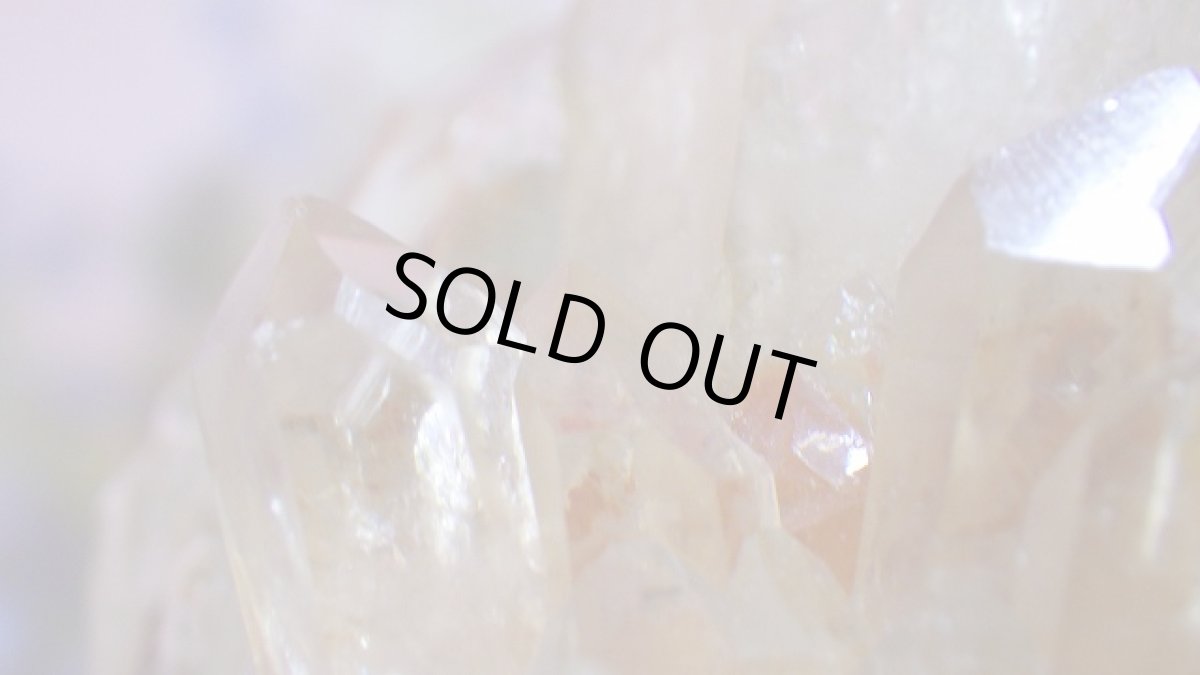 画像7: シトリンクラスター（黄水晶群晶） 215g (7)