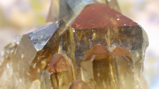シトリン（黄水晶）　クラスター（群晶） シトリン（黄水晶） クラスター（群晶） 【公式通販】
