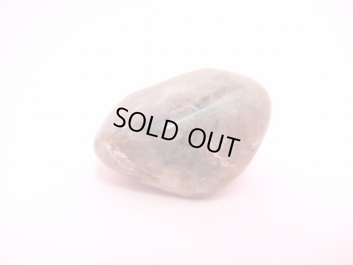 画像2: コプロライト（恐竜のうんこ） ジュラ紀 (2)