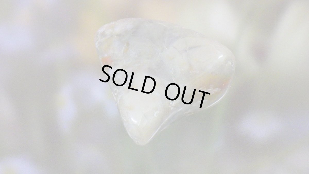 画像2: コプロライト（恐竜のうんこ） ジュラ紀 (2)